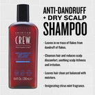 American Crew Anti-Dandruff Shampoo